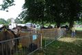 DSC_0006.jpg